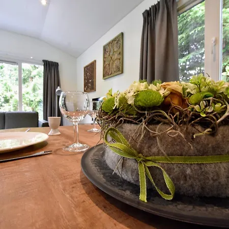 Modern With A Garden, In The Achterhoek Holiday home *