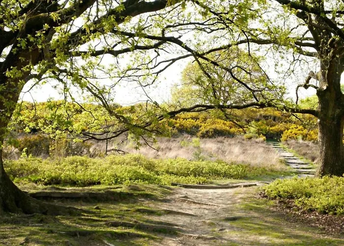 Holiday home Stylish In Woods *