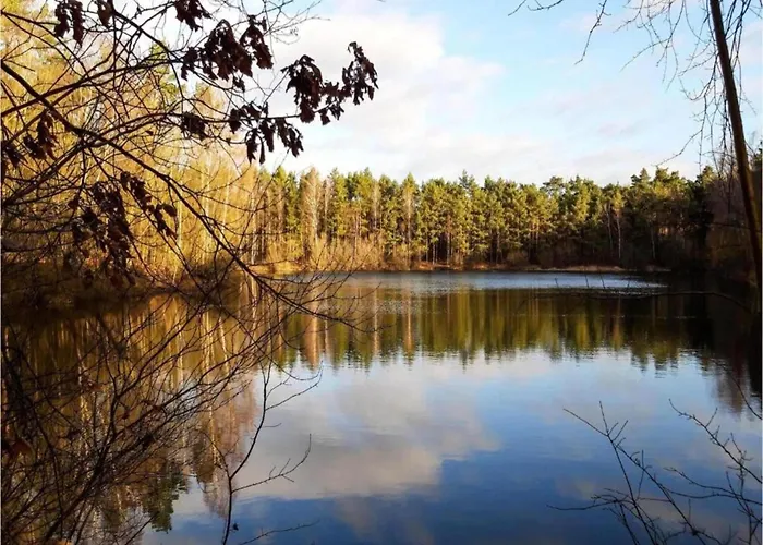 Stylish In Woods Holiday home