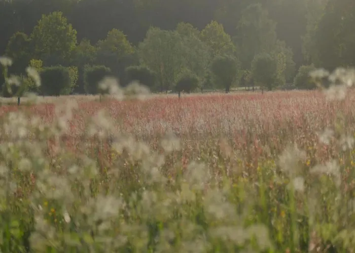 Holiday home Stylish In Woods Vorden