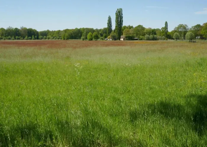 Holiday home Stylish In Woods *