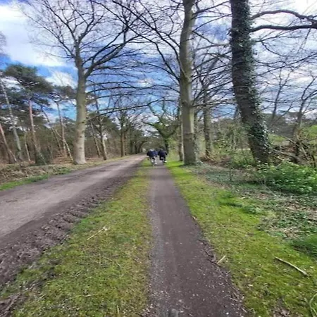 Stylish In Woods Σπίτι διακοπών *