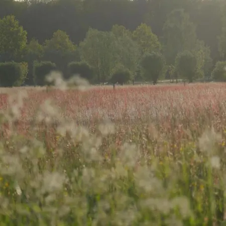 Σπίτι διακοπών Stylish In Woods Vorden