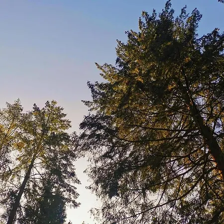 Stylish In Woods Σπίτι διακοπών *