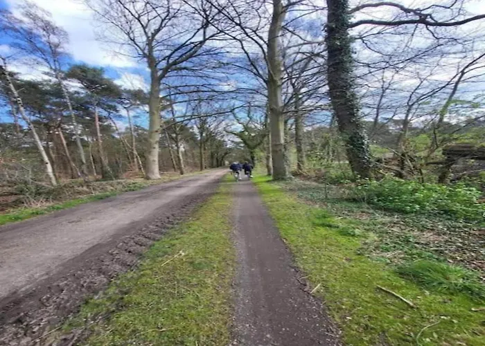 Stylish In Woods Semesterbostad *