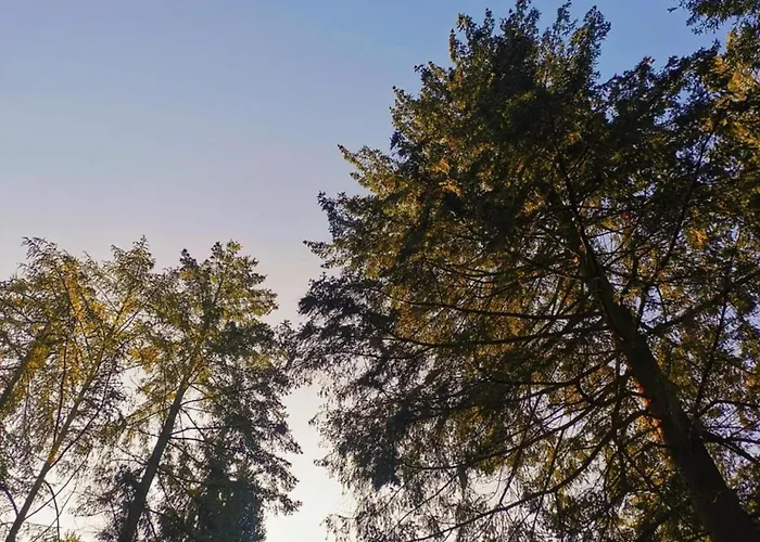 Stylish In Woods Semesterbostad *